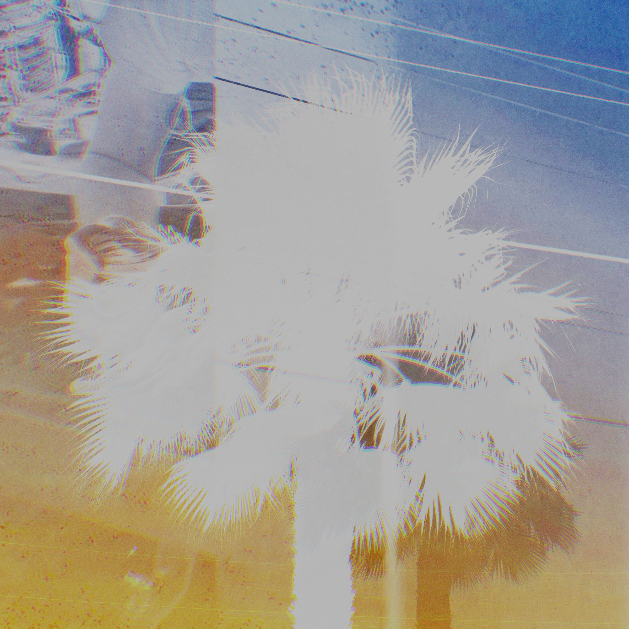 Pure Vacation cover art