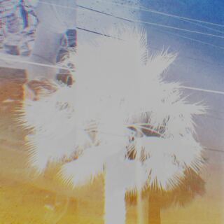 Pure Vacation cover art